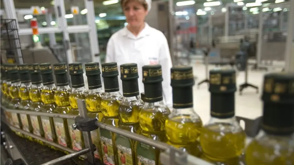 Schlechtere Olivenöl-Ernte: Starke Regenfälle kosten 150.000 Tonnen Produktion